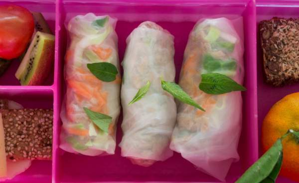 Rice Paper Spring Rolls Kids Lunch Box